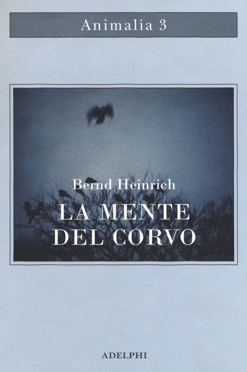 La mente del corvo.